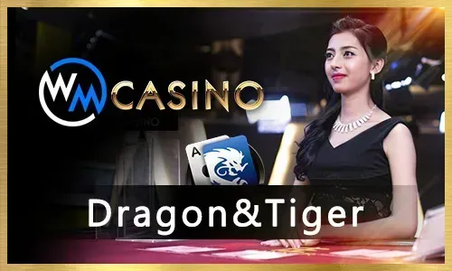 PH333 Slot Games